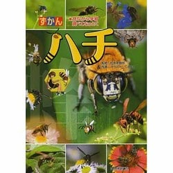 ずかん ハチ(見ながら学習調べてなっとくずかんシリーズ) [図鑑]