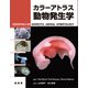 カラーアトラス 動物発生学 [単行本]