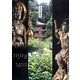 古寺巡礼 京都南山城(みなみやましろ)の仏たち [単行本]