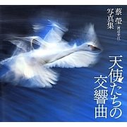 天使たちの交響曲―蔡瑩(渡辺幸江)写真集 [単行本]