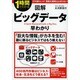 図解 ビッグデータ早わかり(1時間でわかる) [単行本]