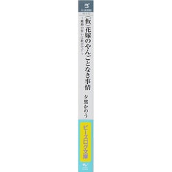 ヨドバシ Com 仮 花嫁のやんごとなき事情 離婚の誓いは教会で ビーズログ文庫 文庫 通販 全品無料配達