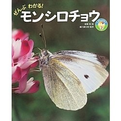 ぜんぶわかる!モンシロチョウ(しぜんのひみつ写真館〈2〉) [単行本]