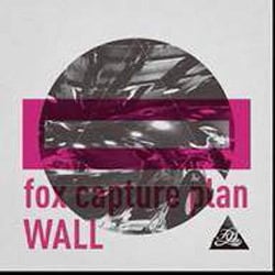 fox capture plan／WALL