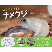 ここにいるよ!ナメクジ(ふしぎいっぱい写真絵本〈24〉) [絵本]