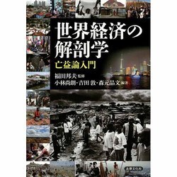 世界経済の解剖学―亡益論入門 [単行本]