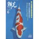 鱗光 2014年6月号 [単行本]