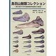 鳥羽山鯨類コレクション－東京海洋大学所蔵鯨類骨格標本の概要 [単行本]