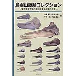 鳥羽山鯨類コレクション－東京海洋大学所蔵鯨類骨格標本の概要 [単行本]