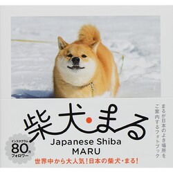 柴犬まる [単行本]