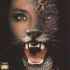 SHEENA & THE ROKKETS／ROCK THE ROCK
