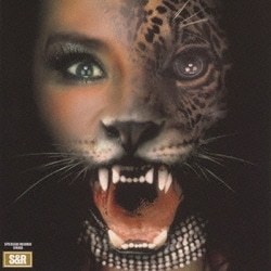 SHEENA & THE ROKKETS／ROCK THE ROCK