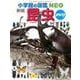 小学館の図鑑NEO〔新版〕 昆虫 DVDつき－DVDつき(小学館の図鑑NEO) [図鑑]