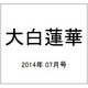 大白蓮華 2014年 07月号 [雑誌]