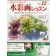 水彩画レッスン 2014年 7/16号（55） [雑誌]