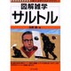 図解雑学 サルトル(図解雑学シリーズ) [単行本]