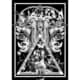 BiS階段／BiS階段 [DVD]