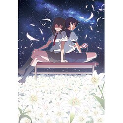 ヨドバシ Com 花物語 2 するがデビル 下 Dvd 通販 全品無料配達