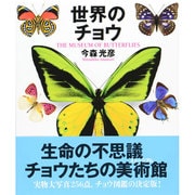 世界のチョウ [図鑑]