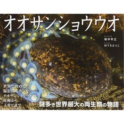 オオサンショウウオ(そうえんしゃ写真のえほん〈12〉) [絵本]