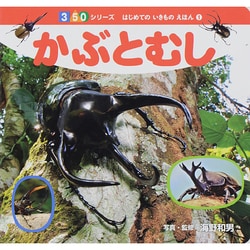 かぶとむし(350シリーズはじめてのいきものえほん〈1〉) [図鑑]