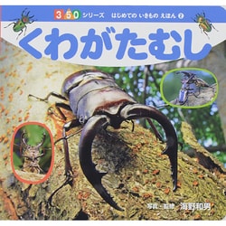 くわがたむし(350シリーズはじめてのいきものえほん〈2〉) [図鑑]