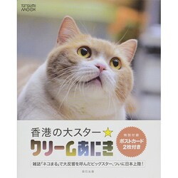香港の大スター クリームあにき タツミムック [ムックその他]