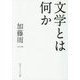 文学とは何か(角川ソフィア文庫) [文庫]