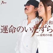 運命のいたずら c/w夜明けの翼