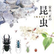 安永一正の昆虫 [単行本]