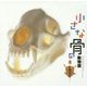 小さな骨の動物園(LIXIL BOOKLET) [全集叢書]