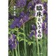 臨床というもの [単行本]