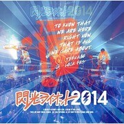 TEENAGE LOCK FES! 閃光ライオット2014