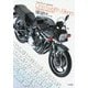 Model Graphix ARCHIVES 1/12バイカーズ「市販バイク編」 [単行本]