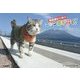 野良猫ヒーローニャン吉が行く! [単行本]