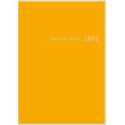10 [2015年1月始まり プレシャスダイアリー B6判]