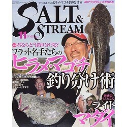 SALT & STREAM (ソルトアンドストリーム) 2014年 11月号 [雑誌]