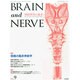 BRAIN AND NERVE (ブレイン・アンド・ナーヴ) - 神経研究の進歩 2014年 09月号 [雑誌]