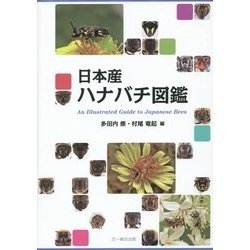 日本産ハナバチ図鑑 日本産ハナバチ図鑑 | 多田内 修, 村尾 竜起 |本 | 通販 | Amazon