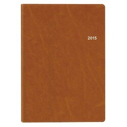 6313 エクリA5(キャメル) [2015年版 A5サイズ NOLTY（ノルティ）シリーズ]