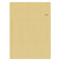 2876 ペイジェムワーママプランナー(ゴールド) [2015年版 B6サイズ 月曜始まり PAGEM（ペイジェム）シリーズ]