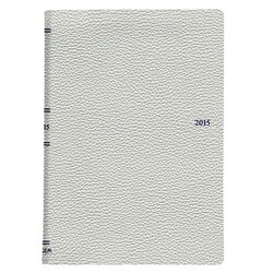 2244 ペイジェムB6ウィークリー3(シルバー) [2015年版 B6サイズ 月曜始まり PAGEM（ペイジェム）シリーズ]