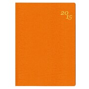 2224 ペイジェムココロカラダ日誌(オレンジ) [ムックその他]