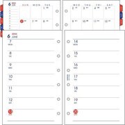 P059 月間&週間ダイアリー [ムックその他]