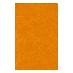 6524 NOLTYユー(グリークオレンジ) [2015年版 B6サイズ NOLTY（ノルティ）シリーズ]