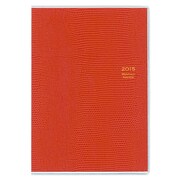 2635 ペイジェムB6マンスリー2(オレンジ) [2015年版 B6サイズ 日曜始まり PAGEM（ペイジェム）シリーズ]