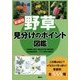 野草 見分けのポイント図鑑 新装版 [単行本]