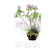 山野草(四季の鉢植え作品集)カレンダー 2015年版 [カレンダー]