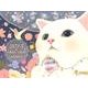 猫のchoo chooカレンダー 2015 [カレンダー]