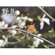 野鳥CALENDAR 2015 [カレンダー]